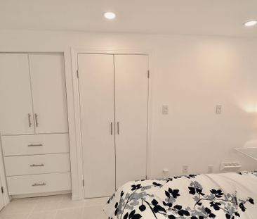 For Lease - 180 Madison Avenue Unit# Lower, Toronto, Ontario - Photo 5