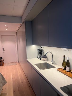 Lodjursstråket, Göteborg - Foto 1