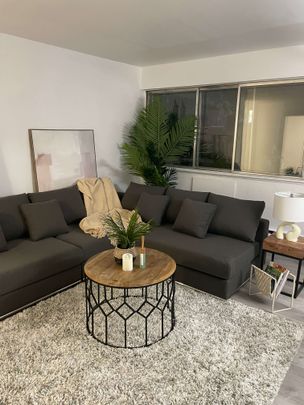 6800 Côte Saint Luc Road - Beautiful 1-bedroom apartment - Photo 1