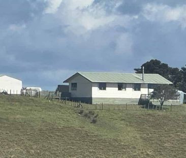 Make Rural Hikurangi your new Home - Photo 5