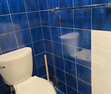 For Lease - 45 Lapp Street Unit# Lower, Toronto, Ontario - Photo 5