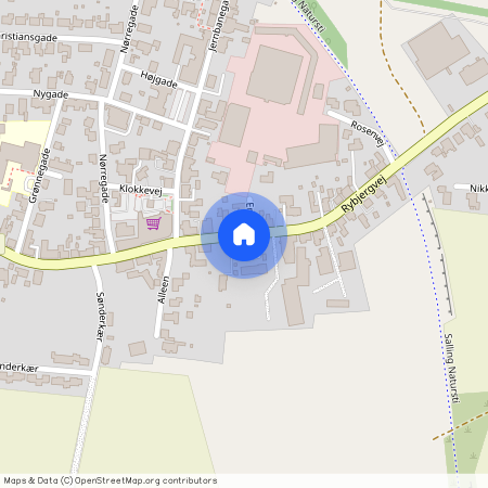 Rybjergvej 14 A st., 7870, Roslev