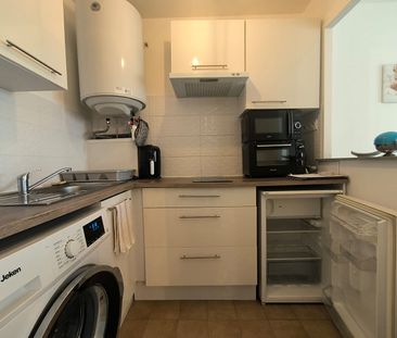 Location Appartement 1 pièce 33m² - Photo 4