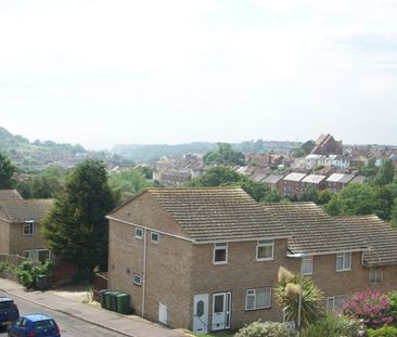 Hawthorn Road, Hastings - Photo 6