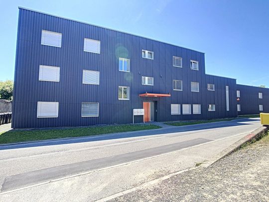 SUPERBE APPARTEMENT DE 4.5 PIECES A LOUER A PENSIER - Photo 1