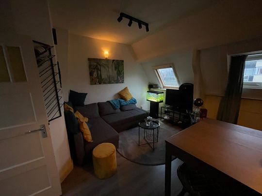 Te huur: 2-kamer appartement aan de Rijnlaan in Utrecht - Foto 1
