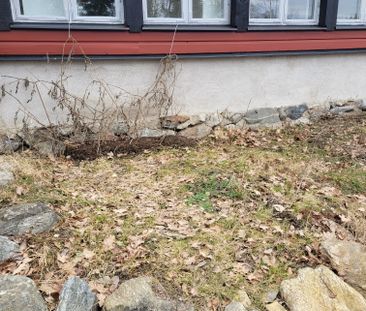 Olberga, Grödinge - Photo 5