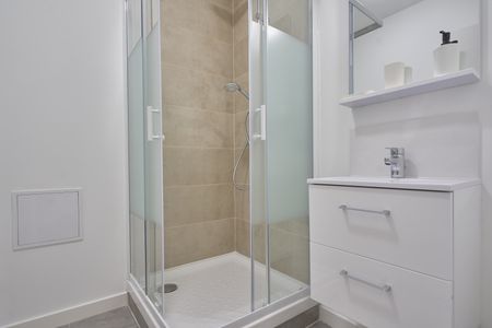 Saint Jean Roommate 3 Bedrooms at Valenciennes - Photo 4