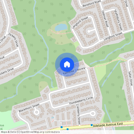 492 Palmtree Crescent, Oshawa