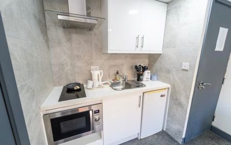 Studio Flat, Birmingham, B29 - Photo 4