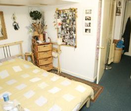 For Lease - 685 Greenwood Avenue Unit# BSMT, Toronto, Ontario - Photo 3