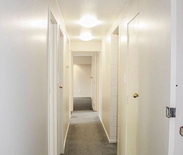 Large bottom floor apartment. 500m to Havelock CBD - Photo 1