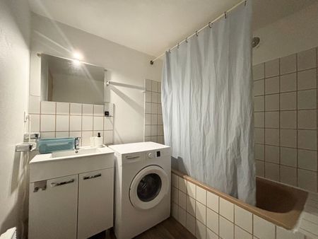 Location Appartement 1 pièce 20m² TOULOUSE 31000 - Photo 3