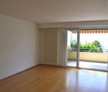 ruhiges Wohnen am Zürichberg - Photo 1