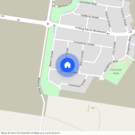 9 Cyathea Street, Vic 3818, Drouin