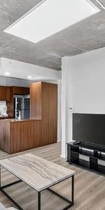 Condo Style Loft 1 chambre a coucher Griffintown 1085 Smith, Montreal FULLY FURNISHED/MEUBLÉ, gym, pool, spa, appliances, piscine, electros - Photo 4