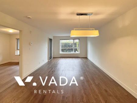 1 Bedroom Apartment For Rent in Burnaby - Photo 3