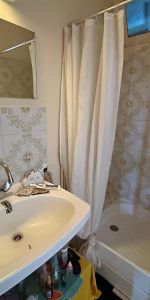 Location Appartement 1 pièce 36m² ANGERS 49100 - Photo 4