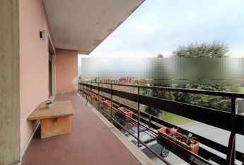 Luminoso appartamento arredato solo di cucina