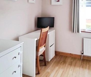 3 Windsor Avenue, Lisburn, BT28 1EE - Photo 5