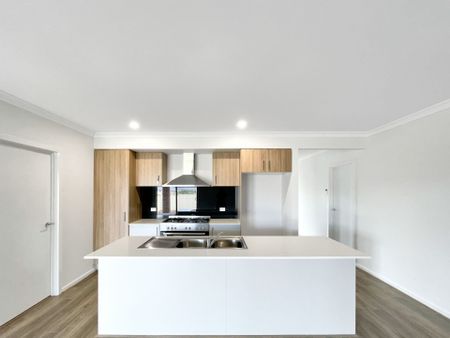 21 Webb Road, Bonshaw - Photo 5