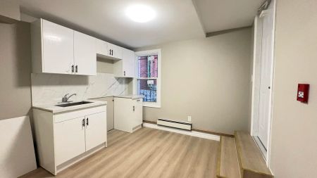 19 Westinghouse Ave, Hamilton, ON, L8L 6E4 — 1 - Photo 3