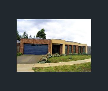 Spacious Family Home in a Fantastic Doreen Location! - Photo 6