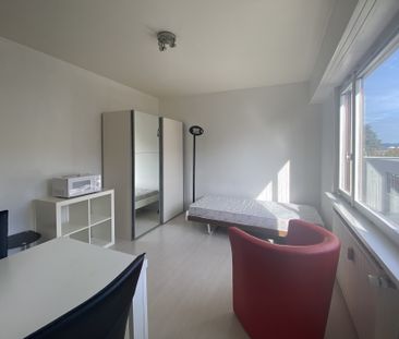 Location Appartement 1 pièce 20m² ST LOUIS 68300 - Photo 6