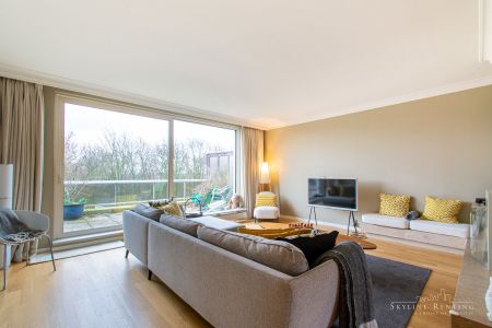 Prachtig 2 kamers Gemeubeld/Ongemeubeld met prachtig TERRAS - Photo 4