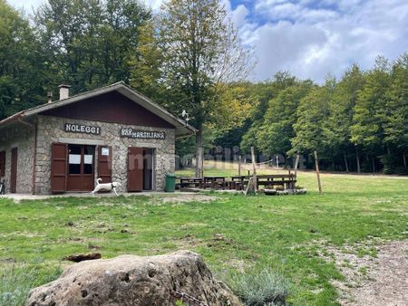 Loft Rifugio Cantore, Abbadia San Salvatore - Photo 4