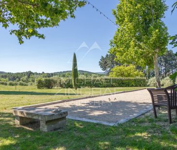 Roussillon - Charmant mas provençal avec piscine - Photo 6