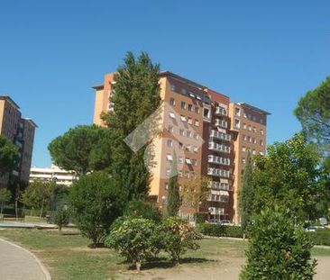 Bilocale in affitto - Photo 1