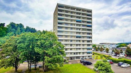 Sanierte 3.5-Zimmerwohnung mit Aussicht über Pratteln - Foto 4