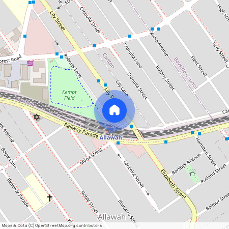 11 Lily Street, NSW 2220, Hurstville