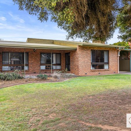 17 Sledmere Avenue, Cobram - Photo 4