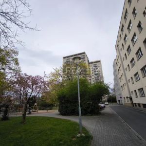 Pronájem - cihlový byt 1+kk 14 m - Fotografie 3