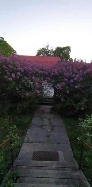 Storgatan, Hemse - Foto 1