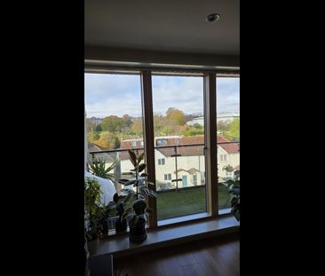 Room in a Shared Flat, Bassett House, SW19 - Photo 5