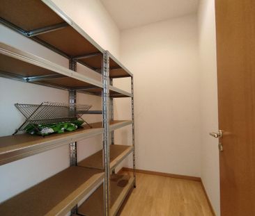 Location Appartement 3 pièces 77m² ST LOUIS 68300 - Photo 2