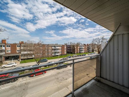8281 Av. des Vendéens — 4-1/2 - Photo 5