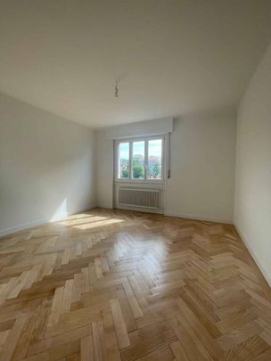 2.5 Zimmer, 77 m², 1. Stock - Photo 1