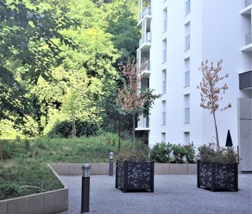 Location Appartement 1 pièce 32m² CALUIRE ET CUIRE 69300 - Photo 3