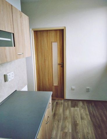 Pronájem bytu 1+1 41 m2 - Fotografie 5