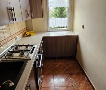 Piaśniki Krasickiego 3 osobne pokoje 1piętro balkon (Świętochłowice... - Photo 3