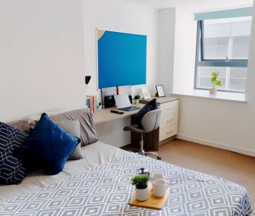 Deluxe Studio - Photo 4