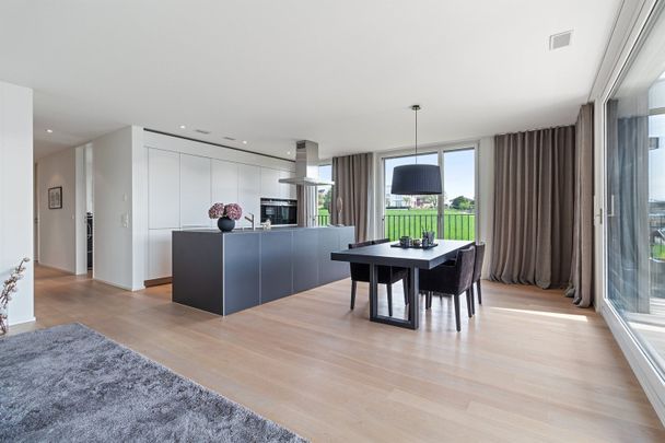 Exklusive Wohnung mit See- und Bergsicht in Meilen - Foto 1