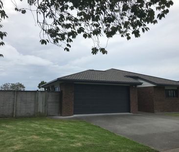 Modern 3 bedroom plus office in Te Puke - Photo 5