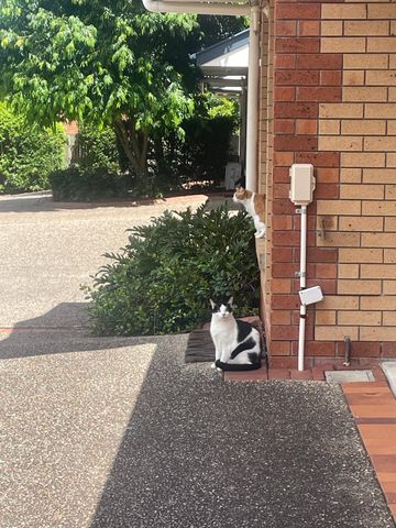 Holland Park West - Photo 4