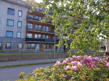 Hantverkaregatan, Borås - Photo 3