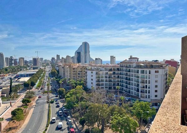 Alicante, Valencian Community 03710